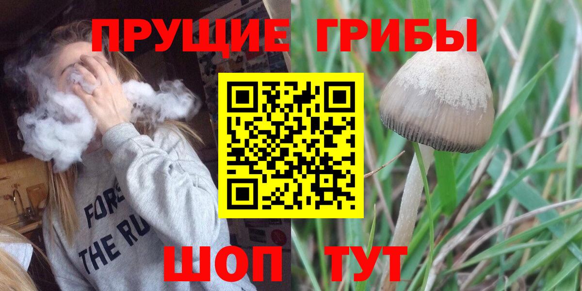 Галлюциногенные грибы ЛСД Нижний Новгород
